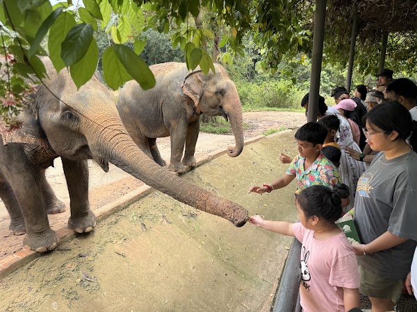 Night Safari Phu Quoc 1