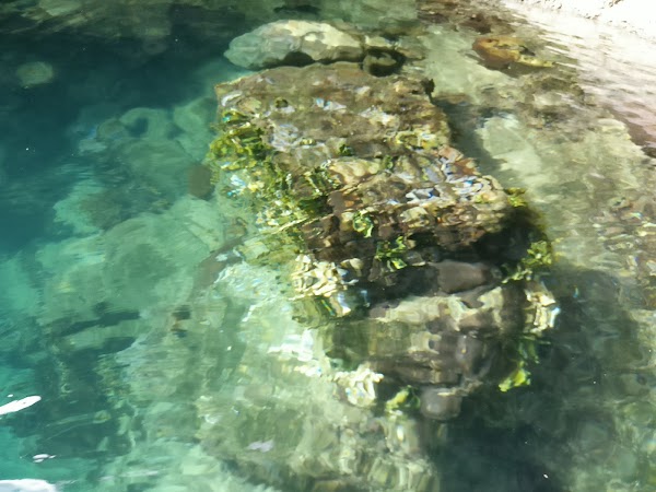 Small Lagoon 3