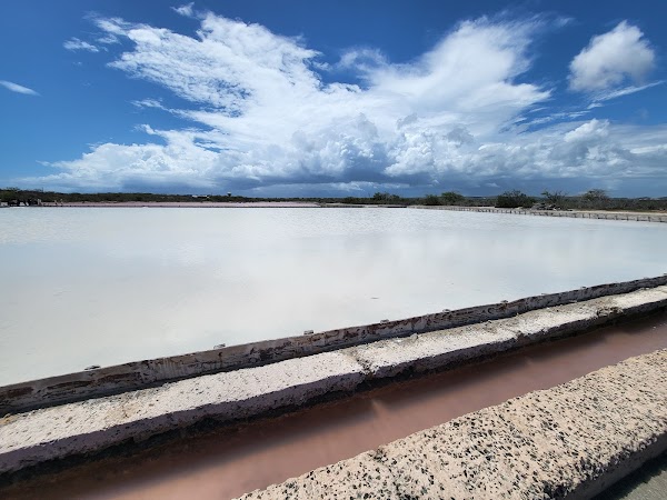 Salinas de Cabo Rojo