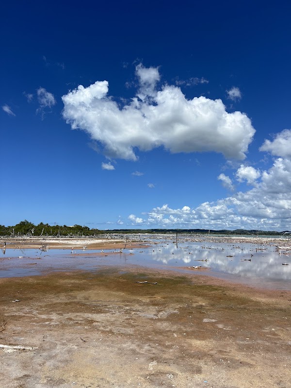 Salinas de Cabo Rojo 5