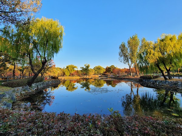 Yongsan Family Park 5