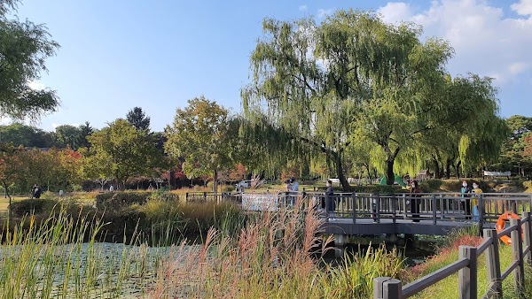 Yongsan Family Park 4