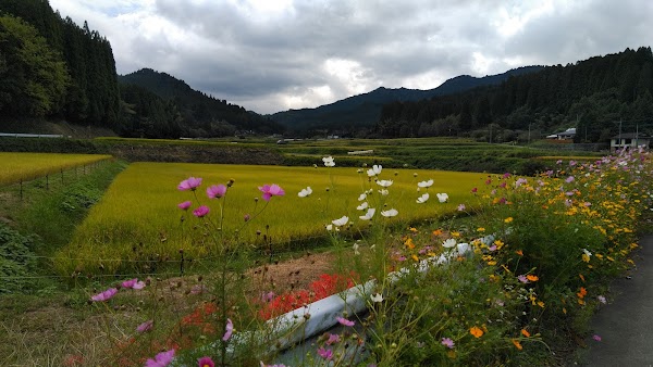 Oguni