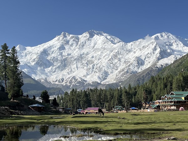 Fairy Meadows National Park