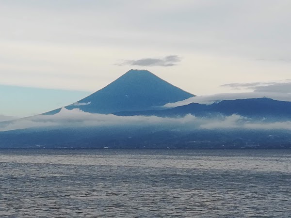 Suruga Bay 4