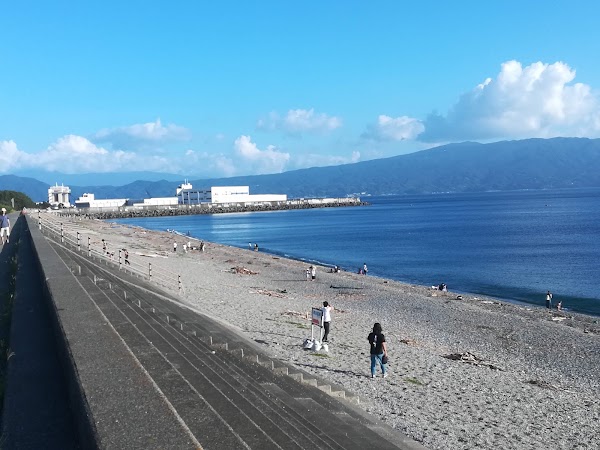 Suruga Bay 3