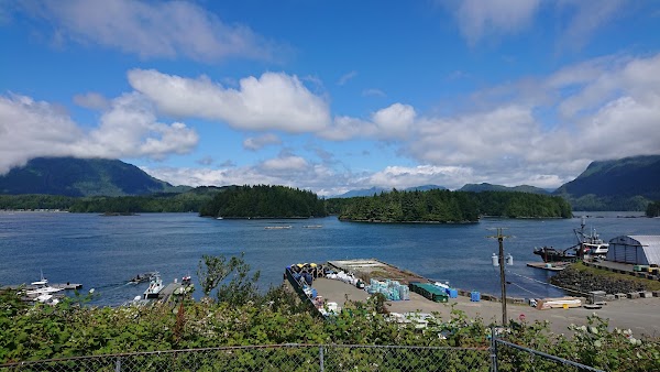 Tofino 4