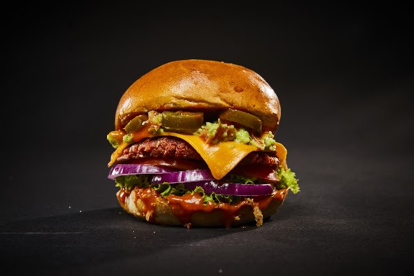 VINCENT 5