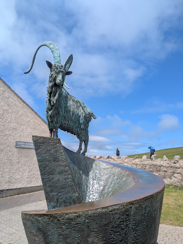 Y Gogarth Great Orme Country Park 3