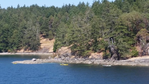 Salt Spring Island 1