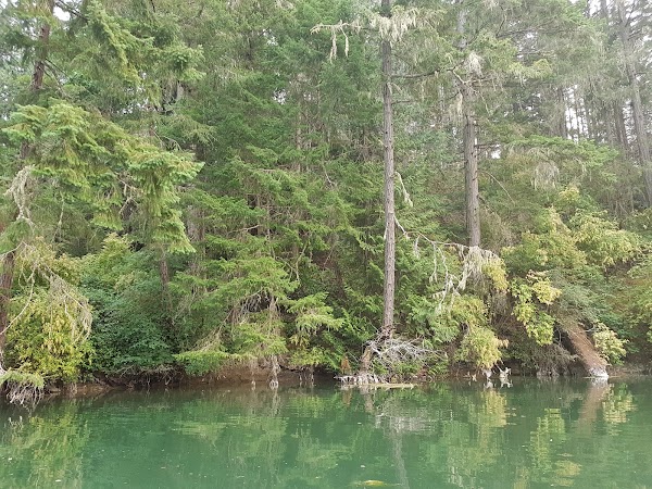 Salt Spring Island 3