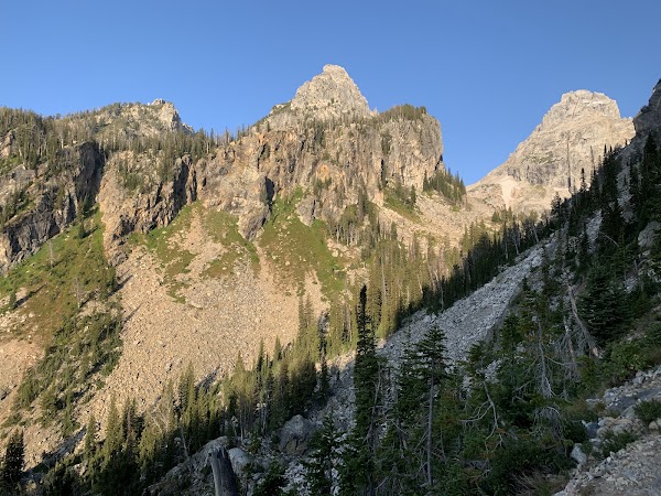 Lupine Meadows Trail