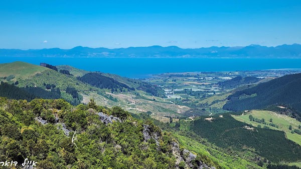 Kahurangi National Park 3