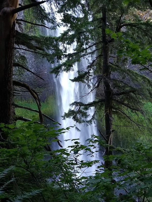 Salt Creek Falls 5