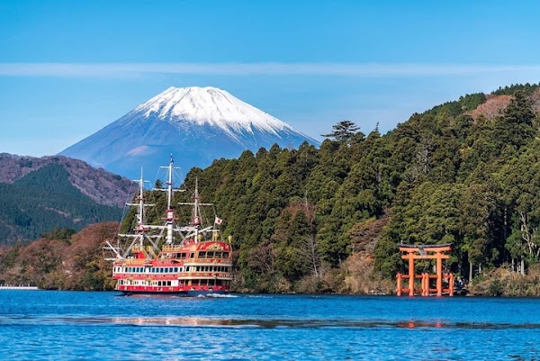 Japan 81