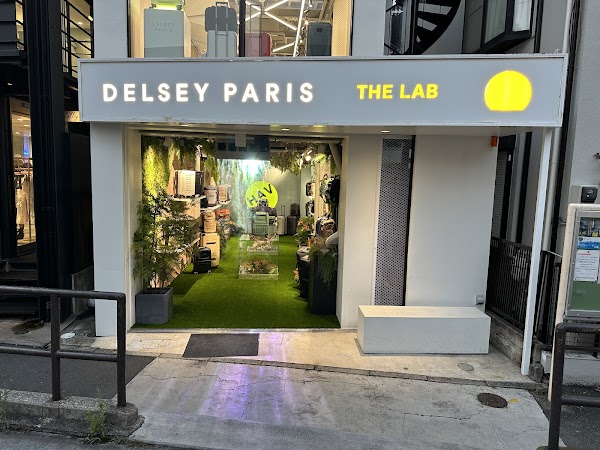 DELSEY 1