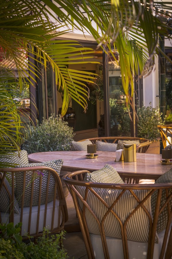 Manero Marbella - Don Carlos 3