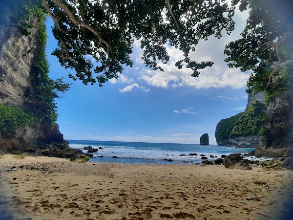 Tembeling Beach and Forest 4