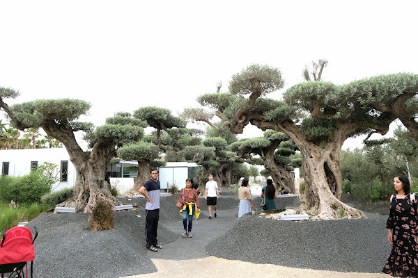 Keturah Reserve 5