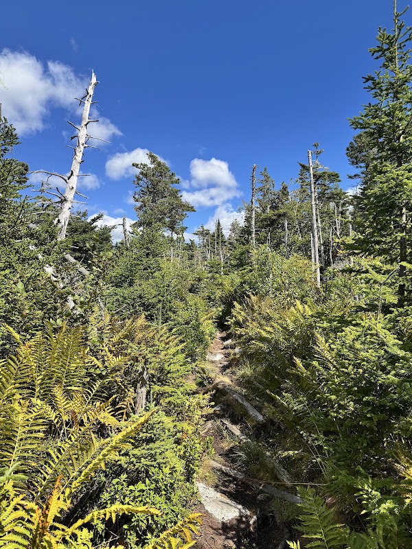 Pennant Point Hiking Trail 4