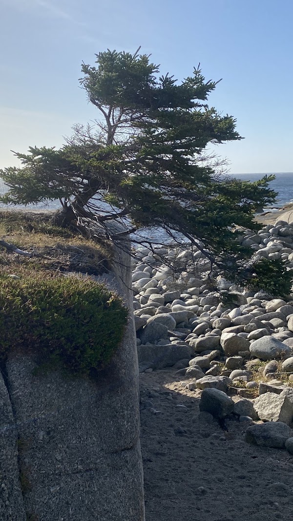 Pennant Point Hiking Trail 3
