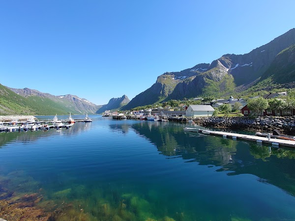 Senja
