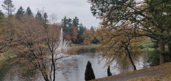 Berg en Bos 4
