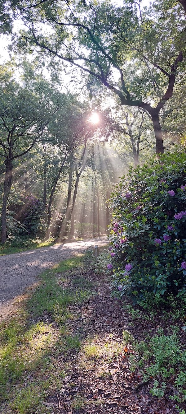 Berg en Bos 3