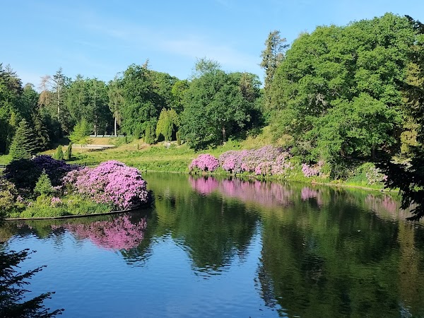 Berg en Bos 2