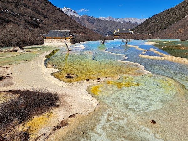 Wucai (Five-Colour) Pond 1