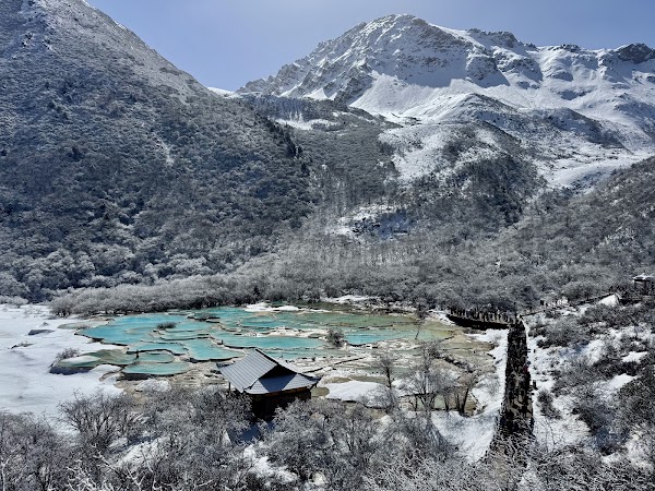 Wucai (Five-Colour) Pond 5