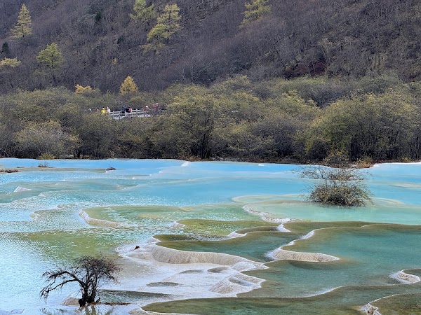 Wucai (Five-Colour) Pond 2