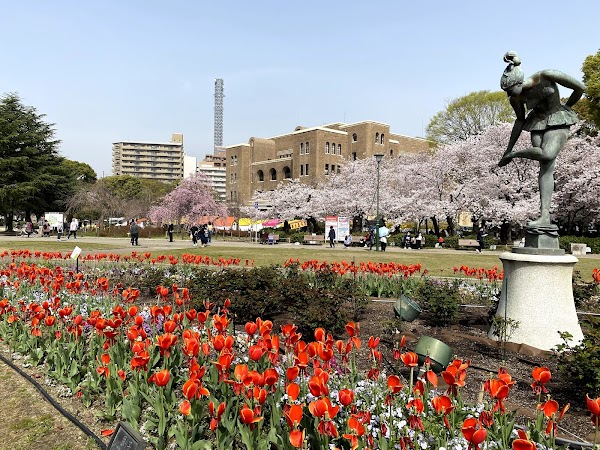 Tsuruma Park 4