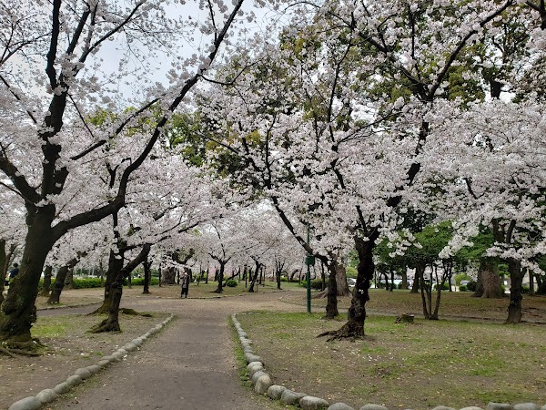 Tsuruma Park 3