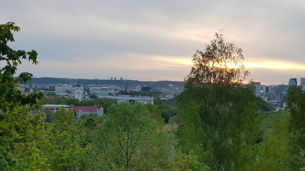 Užupis 5