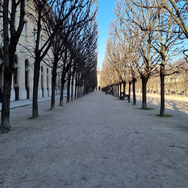 Domaine National du Palais-Royal 3