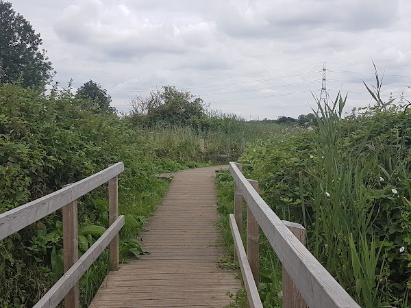 Walthamstow Marshes 1