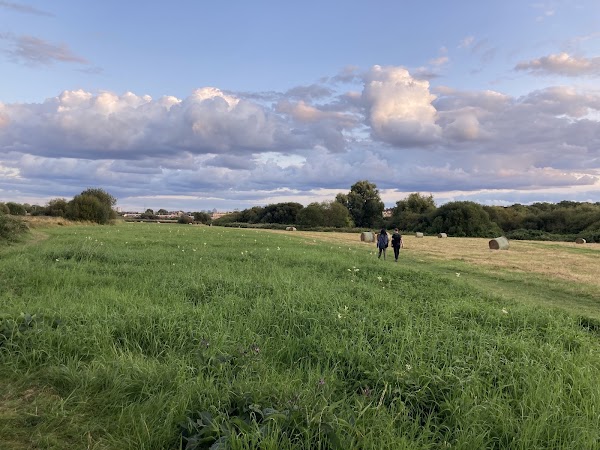 Walthamstow Marshes 5
