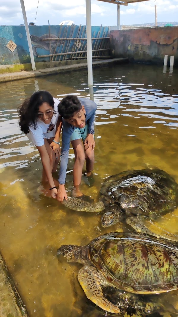 Deluang Sari Turtle Conservation Center 3