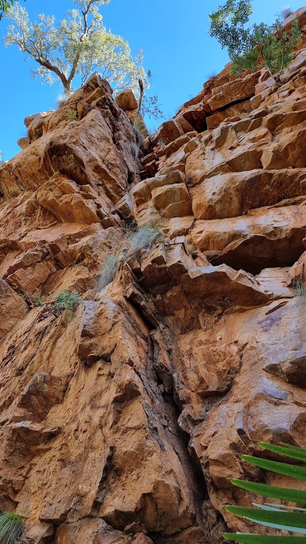 Amalia Gorge Walking Trail 4