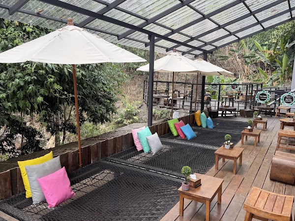 Jungle De Cafe