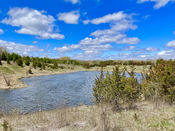 Cedar Trail and the Beare Wetlands Loop