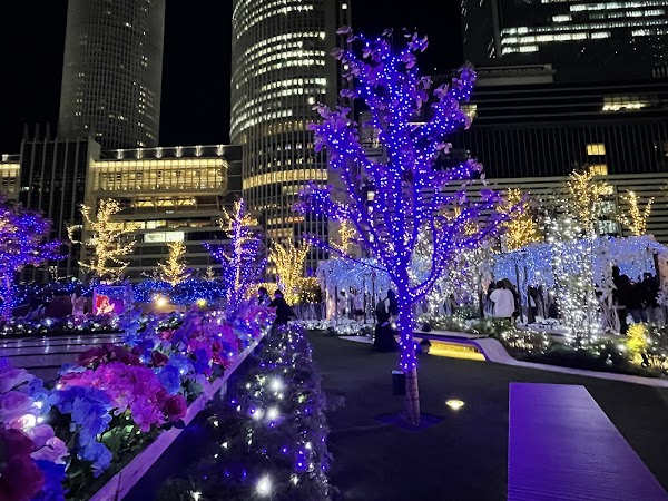 Sky Garden
