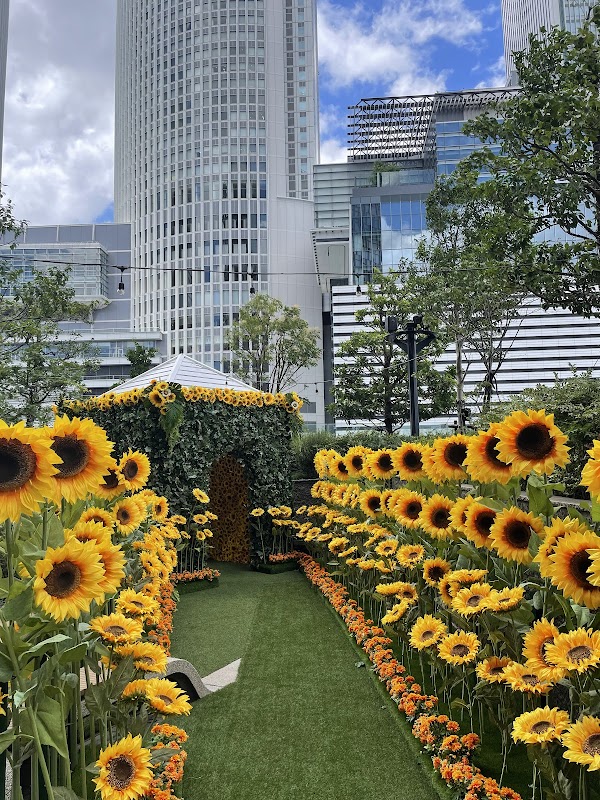Sky Garden 4