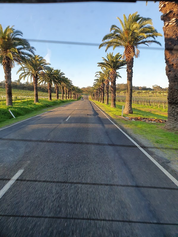 Barossa Valley 5