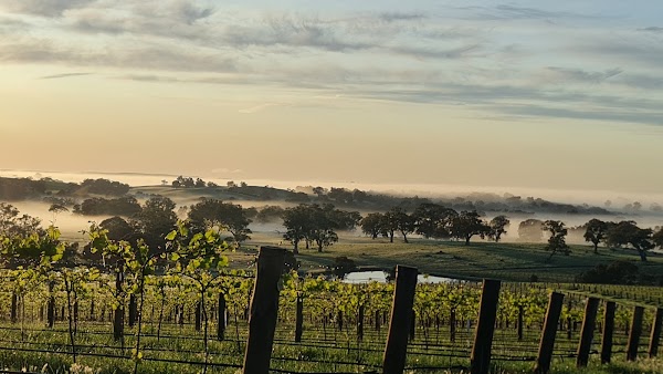 Barossa Valley 3