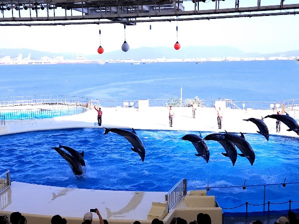 Marine World 3