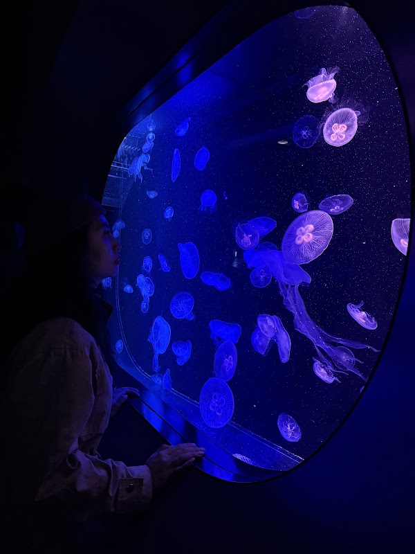 Marine World 2