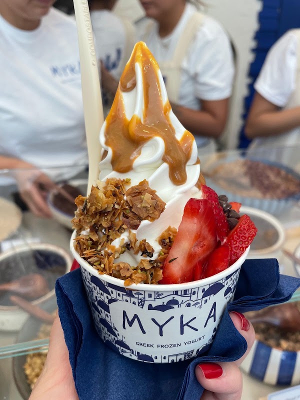 Myka Greek Frozen Yogurt 3