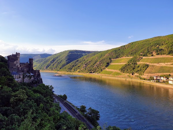 Rheinstein Castle 2